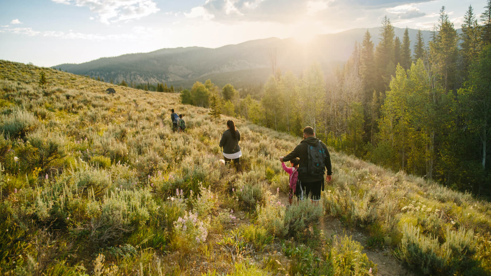 Family hiking through a mountainside field