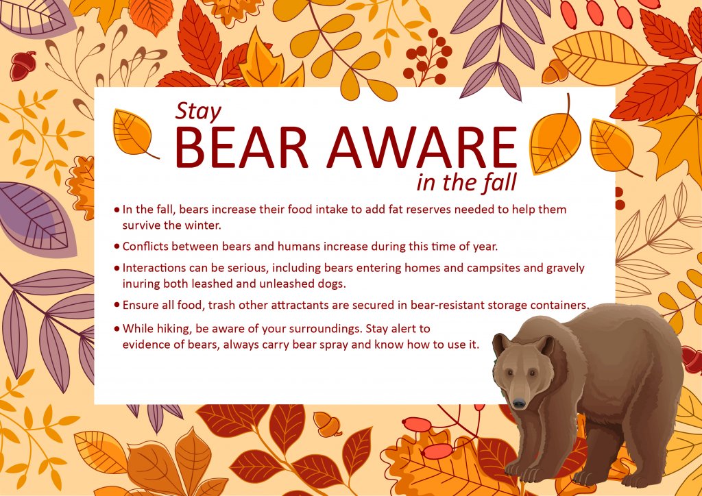 Bear Identification & Signs (Be Bear Aware) - IGBC